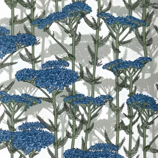 Why Silk Screen Printing Dubai Is Best Method for Bold