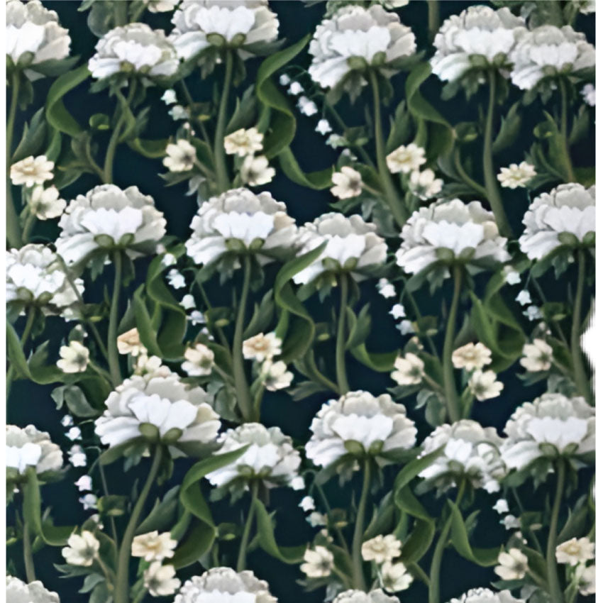 Fabric Shop Near Me